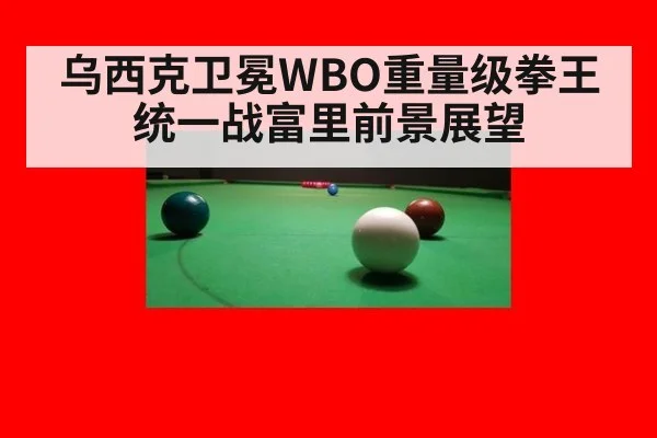 乌西克卫冕WBO重量级拳王统一战富里前景展望
